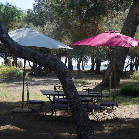 Joli Mas Au Bord De L'Etang De Thau Vila Marseillan  Exterior foto