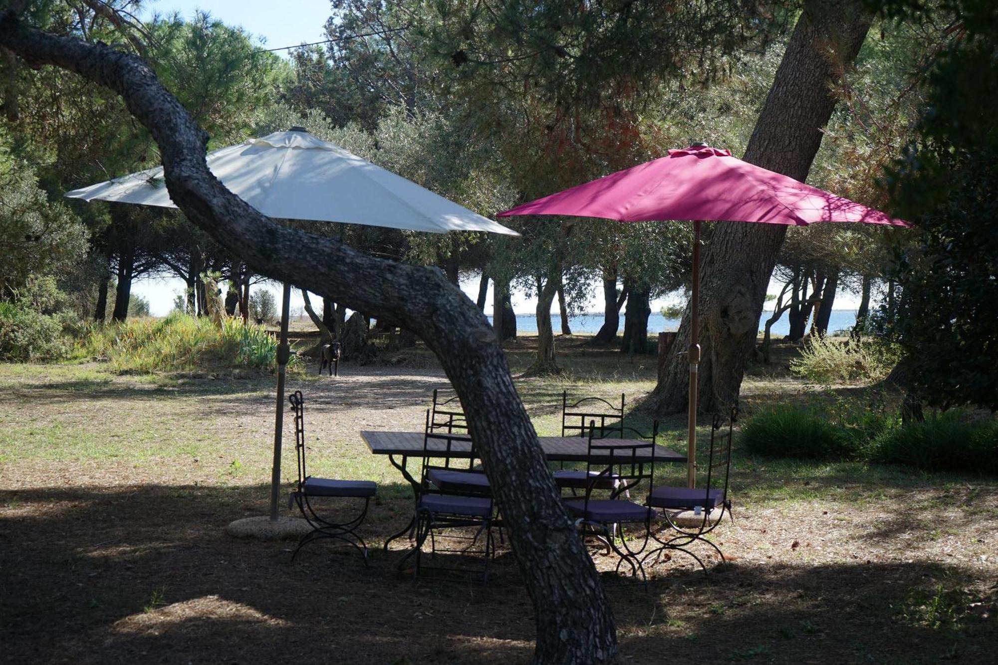Joli Mas Au Bord De L'Etang De Thau Vila Marseillan  Exterior foto